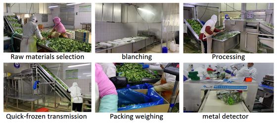 2025 High Quality IQF Vegetables Frozen Vegetables Wholesale Price Frozen Broccoli