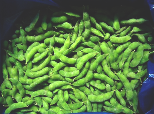 Bulk Organic High-Protein Frozen Vegetable Ready to Cook IQF Soya Beans