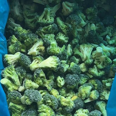 High Quality IQF Frozen Broccoli Ready Stock for Restaurants Wholesale Price