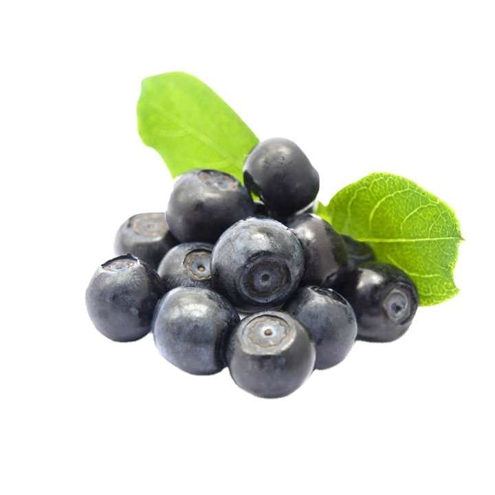 IQF Frozen Whole Blueberries Premium Baking and Smoothie Toppings Intensely