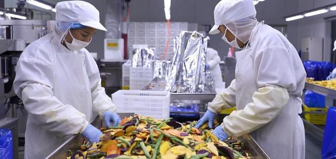 توت العليق المجمد بكميات كبيرة بجودة عالية تغليف الفاكهة بكميات كبيرة من توت العليق المجمد 10