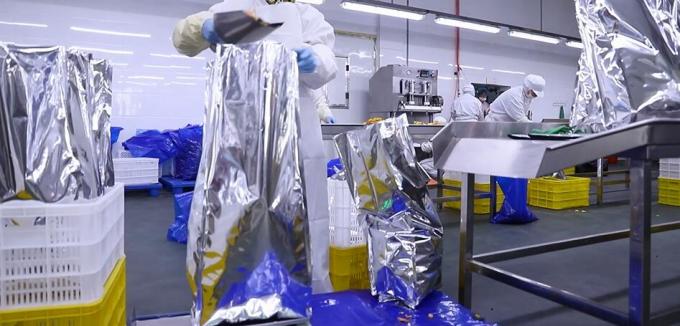 توت العليق المجمد بكميات كبيرة بجودة عالية تغليف الفاكهة بكميات كبيرة من توت العليق المجمد 11