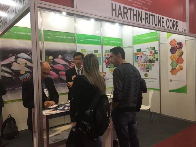 توت العليق المجمد بكميات كبيرة بجودة عالية تغليف الفاكهة بكميات كبيرة من توت العليق المجمد 19