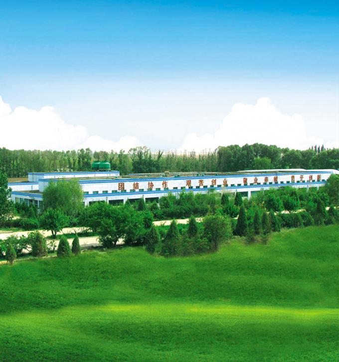 منتج سينوشارم 4 نجوم BRC-A خوخ أصفر طازج مجمد مقطع مكعبات 10x10 ملم مكعبات فاكهة خوخ أصفر مجمدة بتقنية التجميد السريع 8