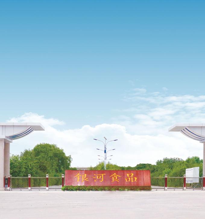 منتج سينوشارم 4 نجوم BRC-A خوخ أصفر طازج مجمد مقطع مكعبات 10x10 ملم مكعبات فاكهة خوخ أصفر مجمدة بتقنية التجميد السريع 9