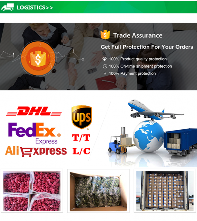 مكعبات الأناناس المجمدة بتقنية التجميد السريع (IQF) بالجملة، فواكه مجمدة بسعر جيد 5