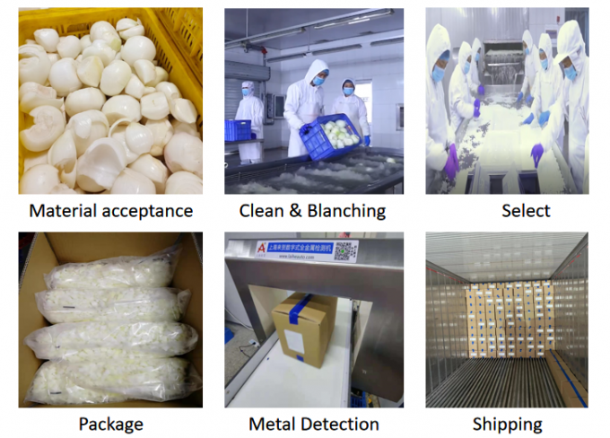 بصل مجمد مقطع إلى مكعبات معتمد من BRC بالجملة أبيض 0