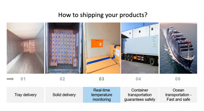 موز مجمد بتقنية التجميد السريع (Iqf) من الصين، منتج رائج، مقطع للتصدير بجودة عالية 2