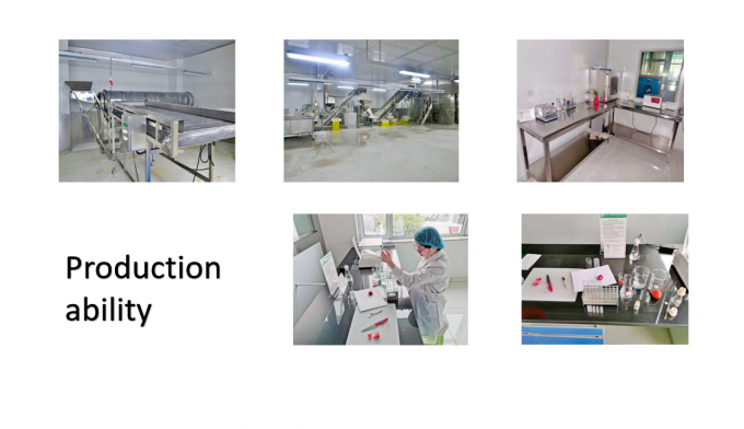 الصينية إمدادات أفضل جودة سعر جيد Iqf الخضروات المجمدة كاملة غمبو غمبو 7