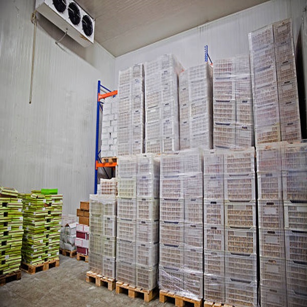 السعر الرخيص الجودة العالية منخفضة الدهون النظيفة الحلال المعتمدة الكبد المجمد للخروف 3