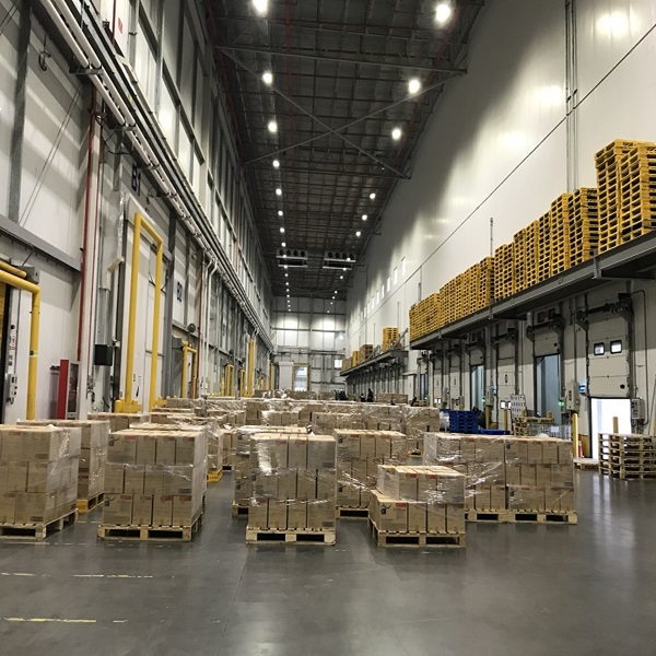 السعر الرخيص الجودة العالية منخفضة الدهون النظيفة الحلال المعتمدة الكبد المجمد للخروف 1