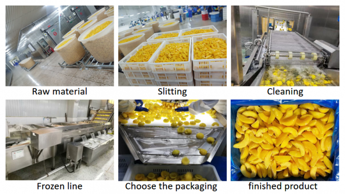 الجودة العالية 10 كيلوغرامات الكميات الكبيرة من نصف الخوخ الصفراء المجمدة - مثالية للاستخدام في العلب والصادرات 3