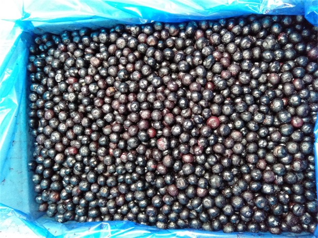 IQF الثلجية التوت الأزرق الكامل الخبز المميز والعصير المكملات المكثفة 2