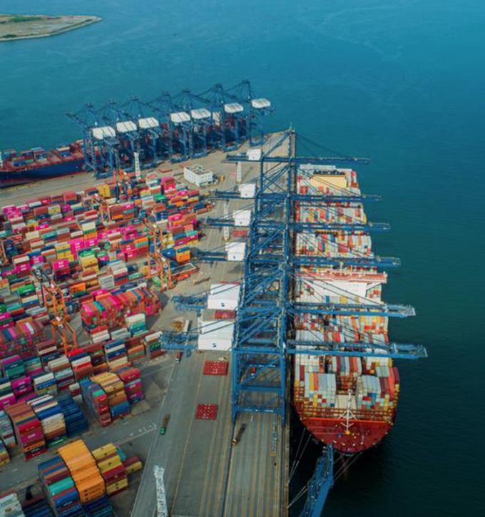 IQF عضوية الخوخ الأصفر نصفها الفواكه المجمدة طعم حلو الكميات الكبيرة المعبأة حليب الماء المحافظ الكومات الكاملة القطع النصف متاحة 13