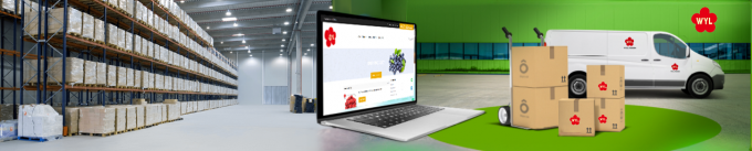 نصف مشمش مجمد عالي الجودة بتقنية التجميد السريع للبيع بالجملة والتجزئة بسعر المصنع حفظ المياه تعبئة بكميات كبيرة 1