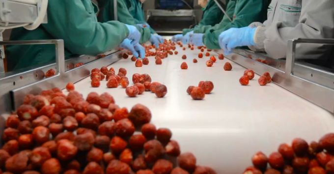 نصف مشمش مجمد عالي الجودة بتقنية التجميد السريع للبيع بالجملة والتجزئة بسعر المصنع حفظ المياه تعبئة بكميات كبيرة 3