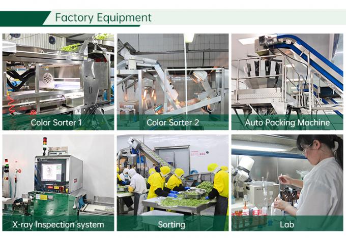 مصنع الخضروات المجمدة المعتمدة من قبل هلال IQF طماطم مقاس 10 ملم طماطم مجمدة مقاس في الصين 2