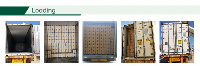 مصنع الخضروات المجمدة المعتمدة من قبل هلال IQF طماطم مقاس 10 ملم طماطم مجمدة مقاس في الصين 4