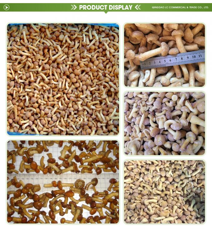 الفطر العضوي المزروع في البرية صحي طبيعي مغذي طازج كامل مجمد الفطر IQF المجمد Nameko 1