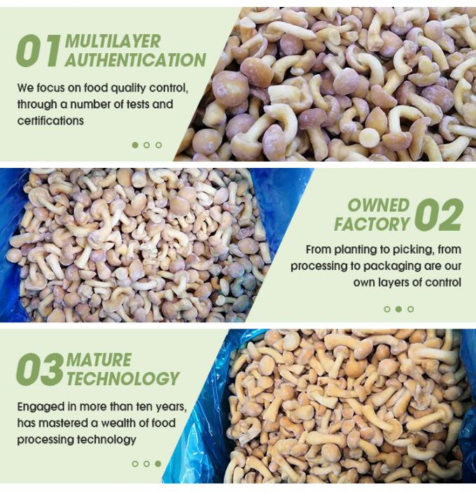 الفطر العضوي المزروع في البرية صحي طبيعي مغذي طازج كامل مجمد الفطر IQF المجمد Nameko 3