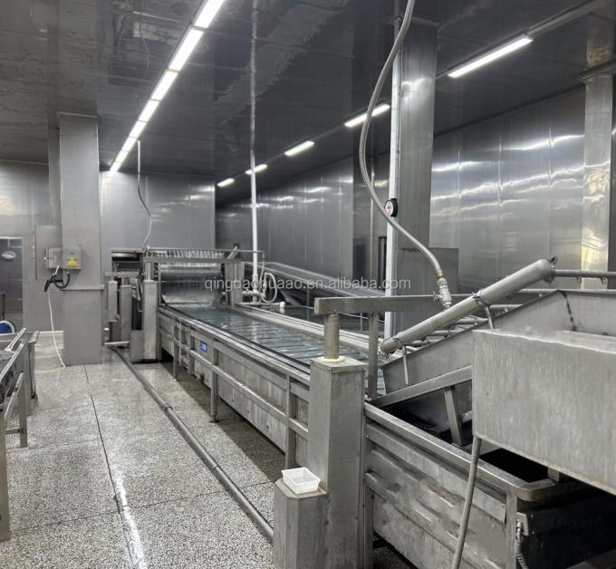 سينوشارم حلال كوشر طازج 4*4ملم الصيني IQF الزنجبيل المقطوعة المورد 1 كجم الزنجبيل المجمد للتوابل 5