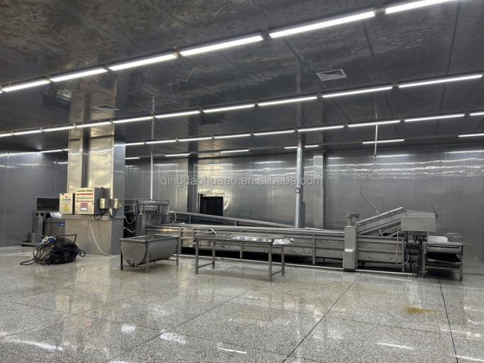 سينوشارم حلال كوشر طازج 4*4ملم الصيني IQF الزنجبيل المقطوعة المورد 1 كجم الزنجبيل المجمد للتوابل 6