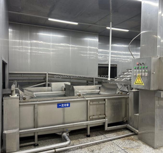 سينوشارم حلال كوشر طازج 4*4ملم الصيني IQF الزنجبيل المقطوعة المورد 1 كجم الزنجبيل المجمد للتوابل 7