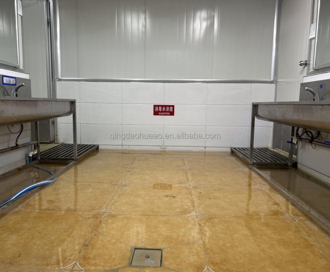 سينوشارم حلال كوشر طازج 4*4ملم الصيني IQF الزنجبيل المقطوعة المورد 1 كجم الزنجبيل المجمد للتوابل 10