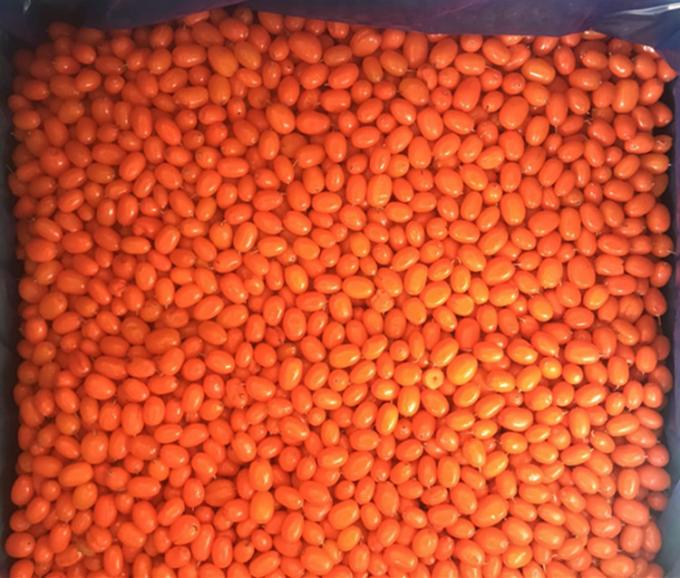 الصين منشأ IQF طازج المجمد البحري البري الشوكة من الدرجة الأولى الشوكة البحرية اللونغوبري التوت، التوت الأزرق التوت المختلط 0