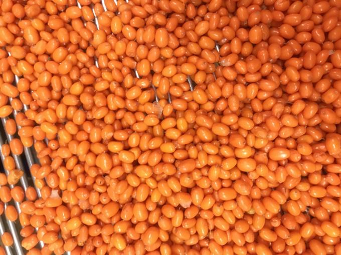 الصين منشأ IQF طازج المجمد البحري البري الشوكة من الدرجة الأولى الشوكة البحرية اللونغوبري التوت، التوت الأزرق التوت المختلط 2