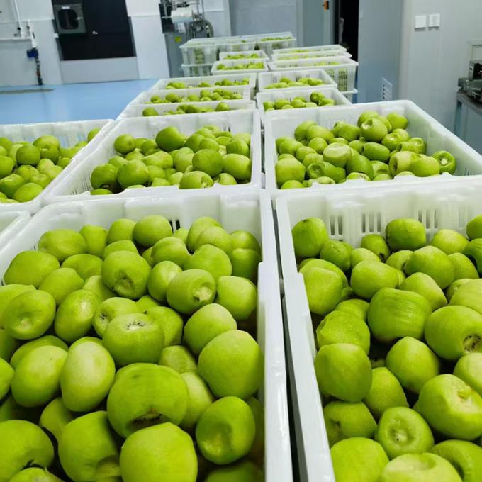 كيوي الفاكهة المجمدة الفاكهة المجمدة كرة كيوي نوعية الطبيعية 3