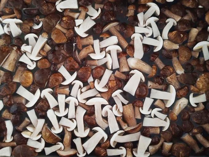 فطر مجمد سريع التجميد من نوع بوليتوس إيدوليس، درجة A، مدة صلاحية 24 شهرًا، حاصل على شهادات ISO، HACCP، BRC، KOSHER، HALAL، الحد الأدنى للطلب 10 أطنان 0