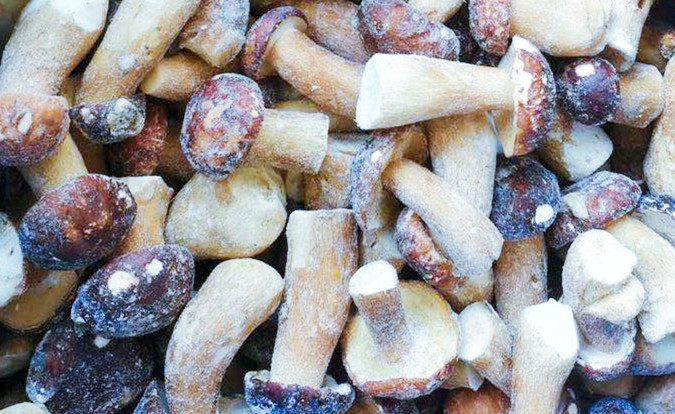 فطر مجمد سريع التجميد من نوع بوليتوس إيدوليس، درجة A، مدة صلاحية 24 شهرًا، حاصل على شهادات ISO، HACCP، BRC، KOSHER، HALAL، الحد الأدنى للطلب 10 أطنان 2