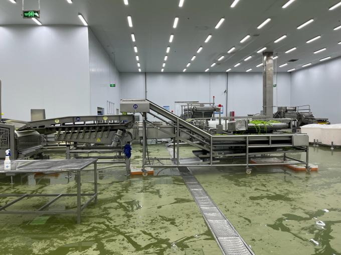 التوت المجمد الطازج ذو الجودة العالية تم اختياره يدوياً للذوق الحلو للعصائر الحلويات الشيكولاتة 9