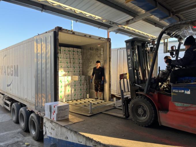 التوت المجمد الطازج ذو الجودة العالية تم اختياره يدوياً للذوق الحلو للعصائر الحلويات الشيكولاتة 12