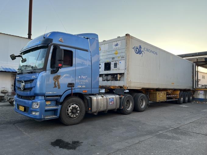 التوت المجمد الطازج ذو الجودة العالية تم اختياره يدوياً للذوق الحلو للعصائر الحلويات الشيكولاتة 14