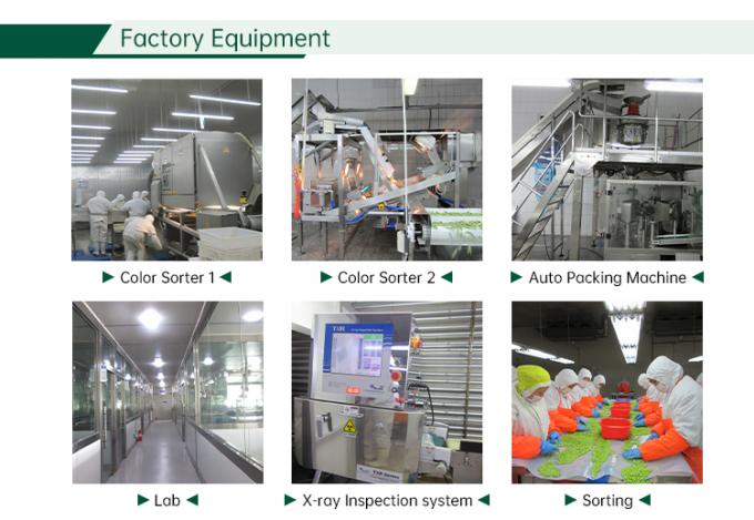 الخضروات المختلطة المجمدة الخضروات المختلطة الطازجة 6