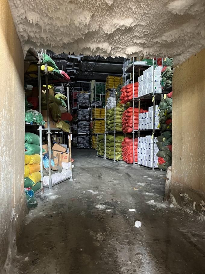 التوت المجمد الطازج ذو الجودة العالية تم اختياره يدوياً للذوق الحلو للعصائر الحلويات الشيكولاتة 6