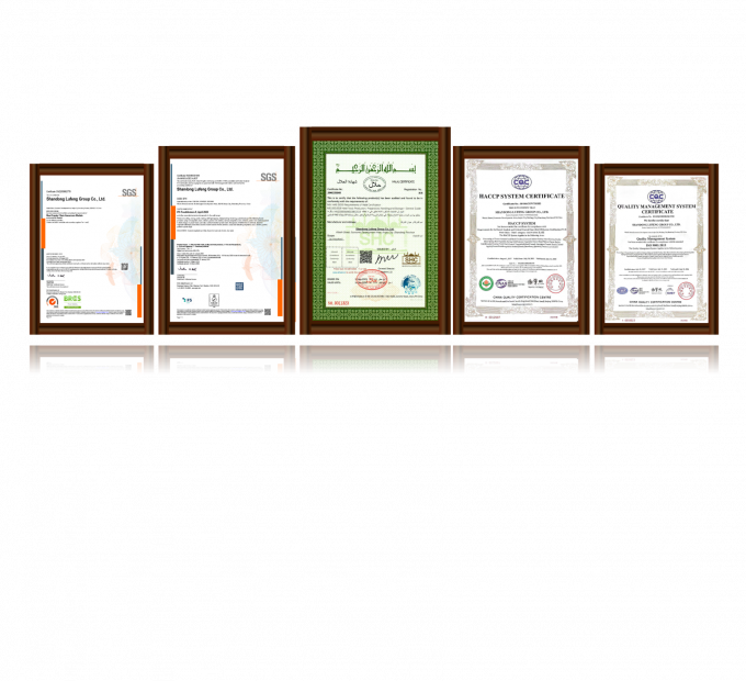 صدر الدجاج المجمد بدون عظام عالي الجودة للصادرة جاهز في عبوات كبيرة 3