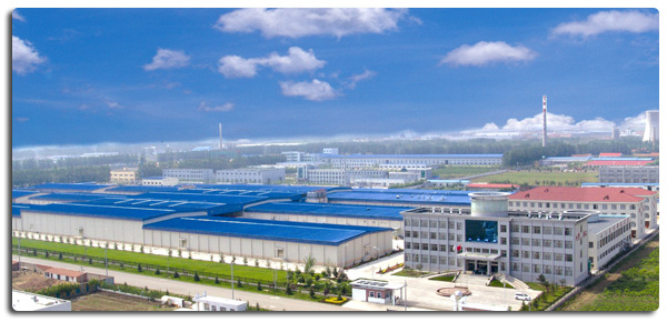 صدر الدجاج المجمد بدون عظام عالي الجودة للصادرة جاهز في عبوات كبيرة 4