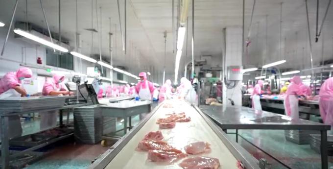 صدر الدجاج المجمد بدون عظام عالي الجودة للصادرة جاهز في عبوات كبيرة 6