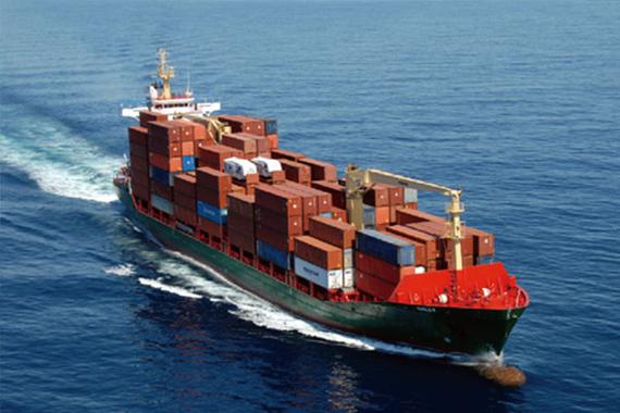 صدر الدجاج المجمد بدون عظام عالي الجودة للصادرة جاهز في عبوات كبيرة 11